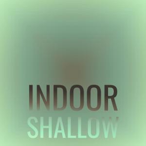 Album Indoor Shallow oleh Various Artists