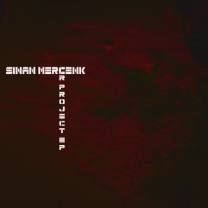 收聽Sinan Mercenk的Pleasure (Dub)歌詞歌曲
