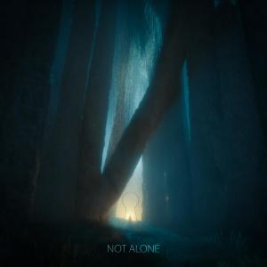 Album Not Alone from Xant.