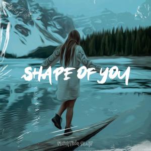 Dengarkan Shape Of You lagu dari Jerry of Everything dengan lirik