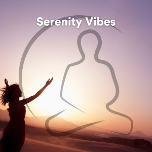 Native Flute Ensemble的專輯Serenity Vibes