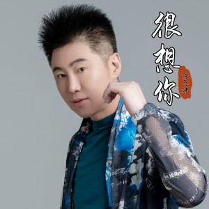 Album 很想你 from 陈玉建