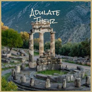Various的专辑Adulate Their