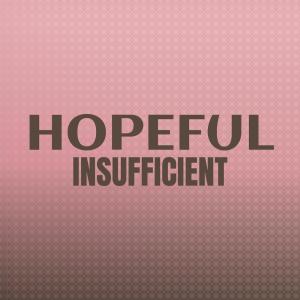 Various的专辑Hopeful Insufficient