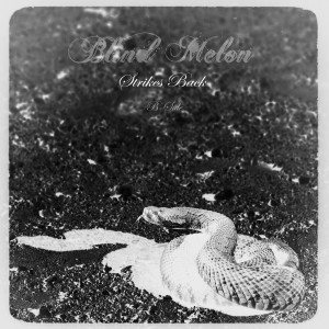 Album Strikes Back Redux from Blind Melon