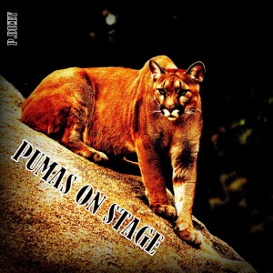 default album img