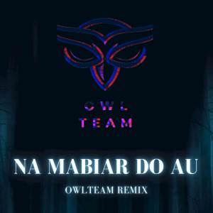 Album NA MABIAR DO AU PARGOY (Remix) from Owl_Team