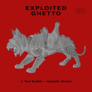Album Hypnotic Garden from Paul Rudder