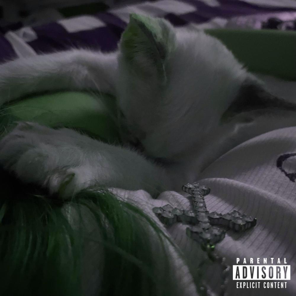 Show Me (Explicit)