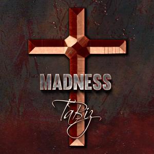 Album Madness (A Musical Journey) from TaBiz