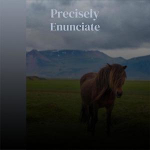 Listen to Precisely Enunciate song with lyrics from Daie