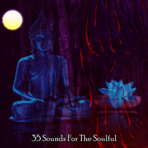 35 Sounds For The Soulful dari Music for Deep Meditation