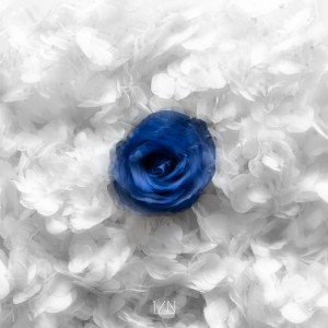Listen to Perfect Blue (;) song with lyrics from 엔분의일