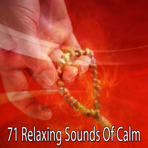 Listen to Find Your Character song with lyrics from Yoga Music