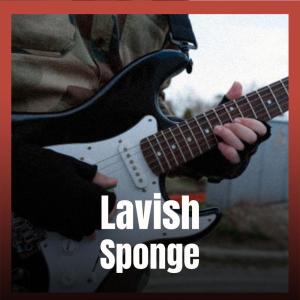 Listen to Lavish Sponge song with lyrics from Deano Deby