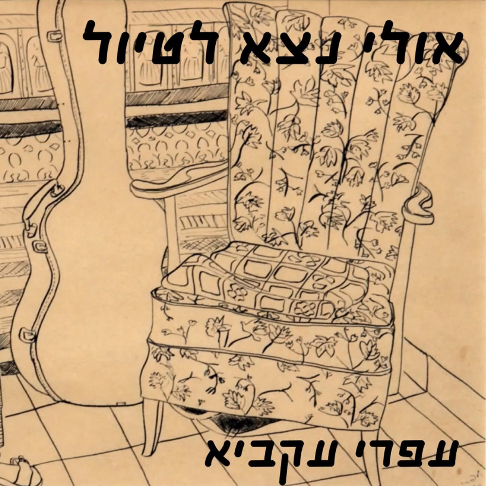 לו היינו יכולים