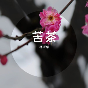 Listen to 苦茶 song with lyrics from 林昕馨