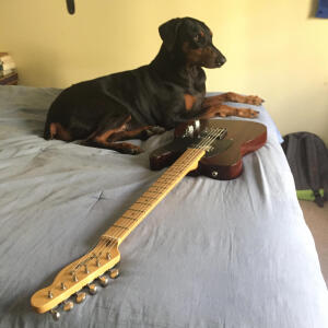 default playlist img