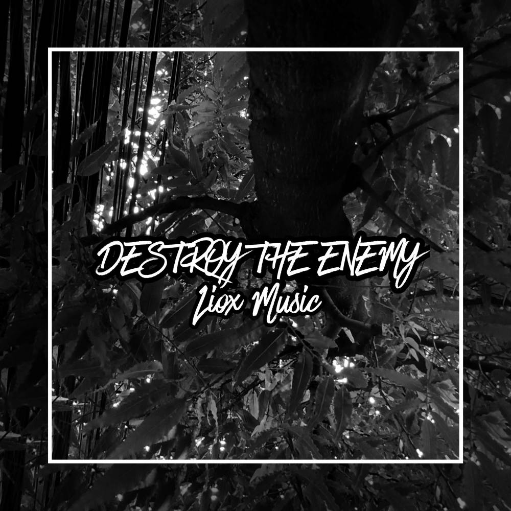 DESTROY THE ENEMY