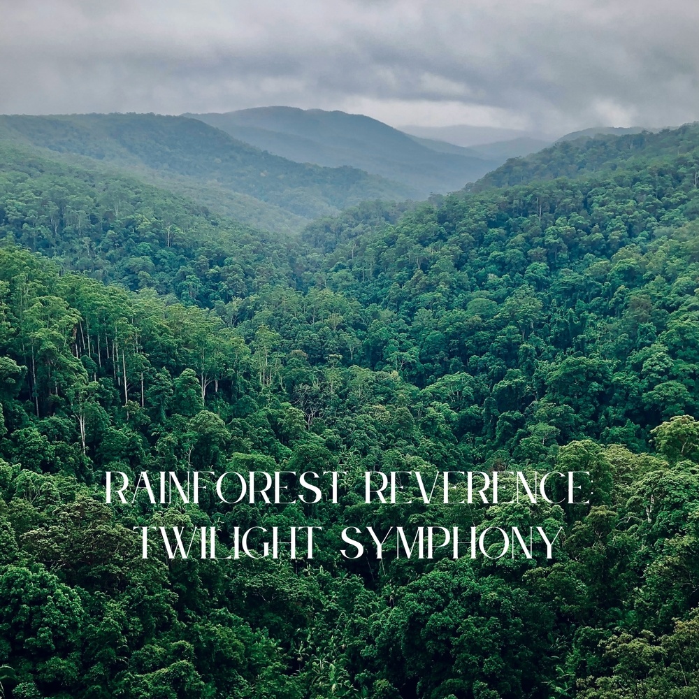 Rainforest Reverence: Twilight Symphony
