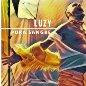 收听Luzy的Pura sangre歌词歌曲