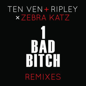 收聽Ten Ven的1 Bad Bitch (Ten Ven & Ripley Vs. Zebra Katz) (explicit Cause & Affect Remix)歌詞歌曲