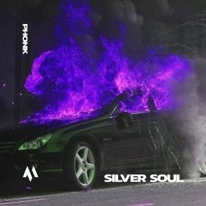 Album SILVER SOUL - PHONK oleh DRIFTMANE