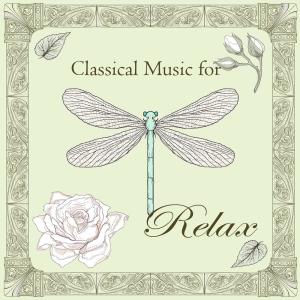 Listen to Chit-Chat Polka in G Major, Op. 214, Allegro （johann Strauss Ii） song with lyrics from Ferenc Hegedus