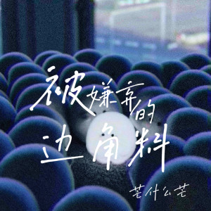 Album 被嫌弃的边角料 from 
