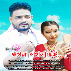 Listen to Pogola Pogola Moi song with lyrics from Ronit Sandilya