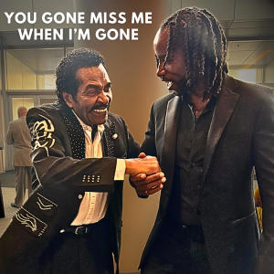 收聽The Real Dee Martin的You Gone Miss Me When Im Gone (feat. Bobby Rush)歌詞歌曲
