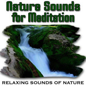ดาวน์โหลดและฟังเพลง Powerful Waterfall Promotes Deep Sleep พร้อมเนื้อเพลงจาก Relaxing Sounds of Nature