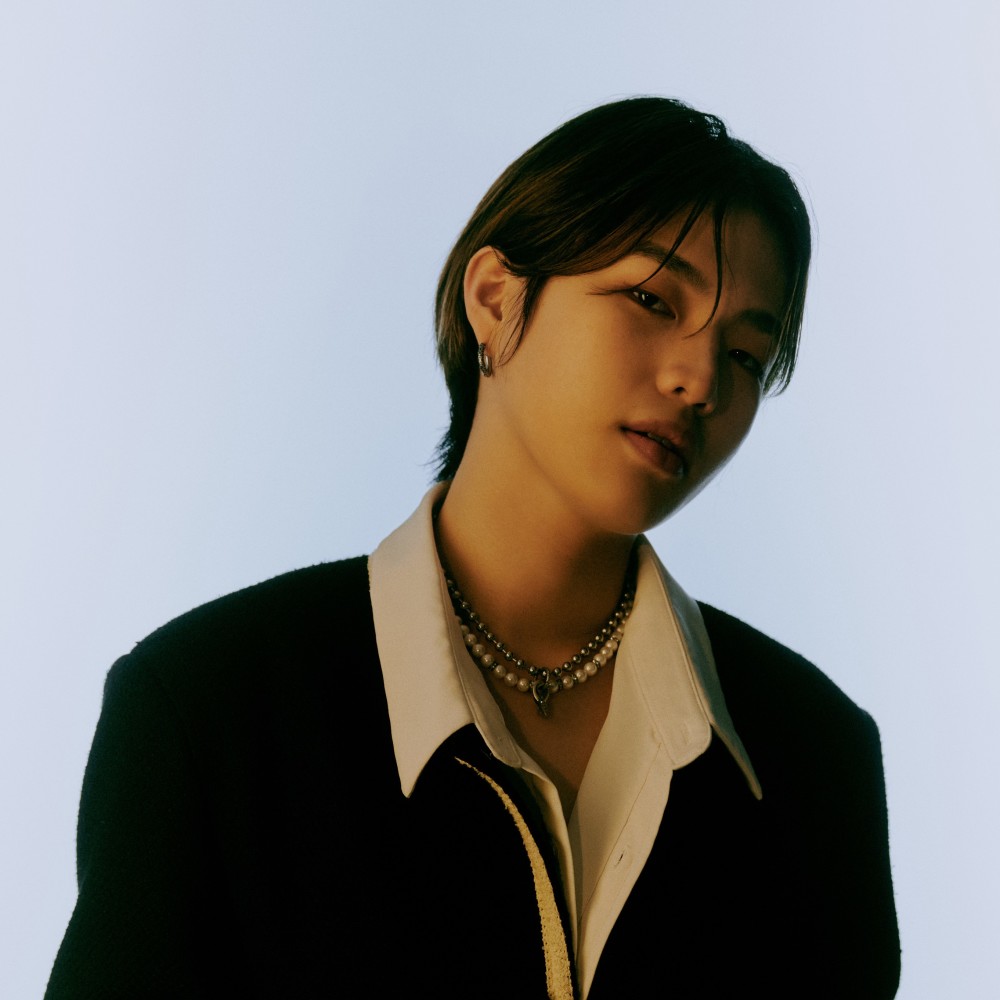 하디 (HADY)