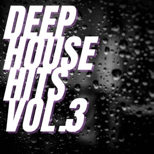 收聽Nailon Gray的A New Meeting (Deep Sector Mix)歌詞歌曲