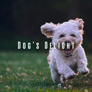 Album Dog's Delight: Chill Sounds with Nature's Symphonies from Dogs