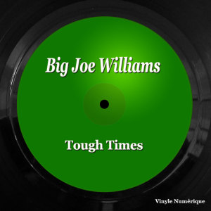 Big Joe Williams的专辑Tough Times