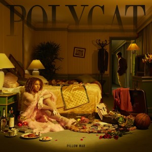 Album Pillow War from Polycat