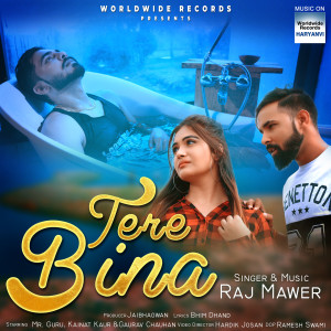 Dengarkan Tere Bina lagu dari Raj Mawer dengan lirik