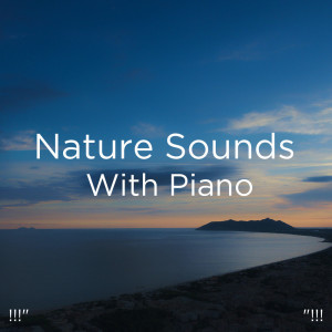 收听Deep Sleep的Binaural Beats Nature歌词歌曲