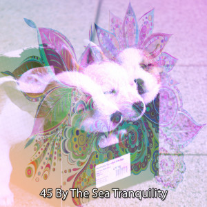 45 By The Sea Tranquility