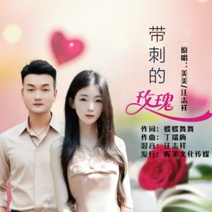 收听美美的带刺的玫瑰（DJ对唱版） (完整版)歌词歌曲