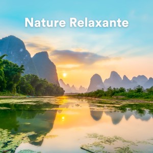 Album Nature Relaxante (Sons paisibles de la nature pour se détendre) from Zen Ambiance D'eau Calme