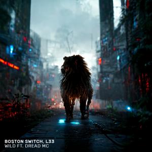 收聽Boston Switch的Wild歌詞歌曲