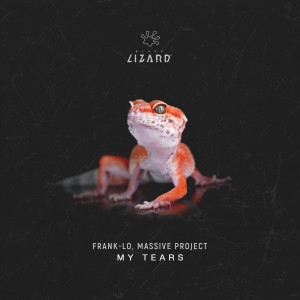 Album My Tears from Frank-Lo