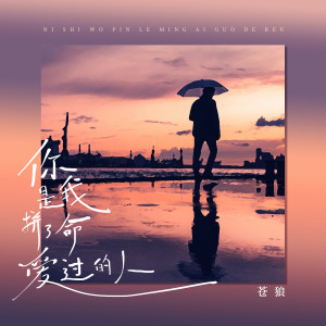 收聽蒼狼的你是我拼了命愛過的人 (DJ版)歌詞歌曲