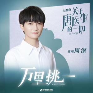 Listen to 万里挑一 song with lyrics from 周深