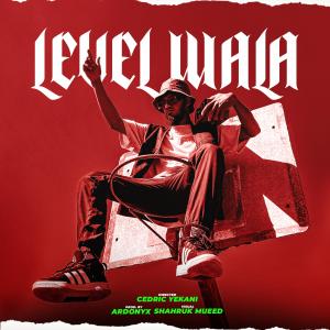 Listen to LEVEL WALA (Explicit) song with lyrics from Fuhad shafi