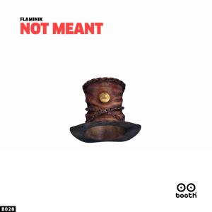 Flaminik的專輯Not Meant EP