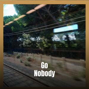 Dengarkan Go Nobody lagu dari Lennar Sinette dengan lirik