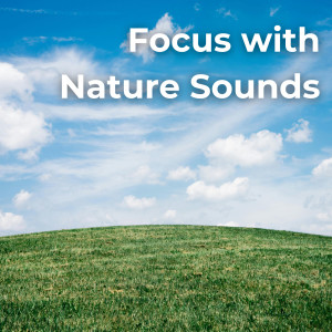 อัลบัม Focus with Nature Sounds ศิลปิน Recording Nature